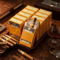 Cohiba Short 10*10